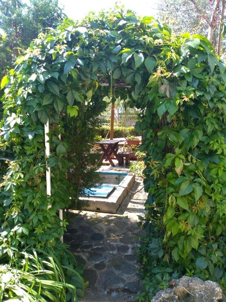 Blue Summer Sunny Beach Exterior foto